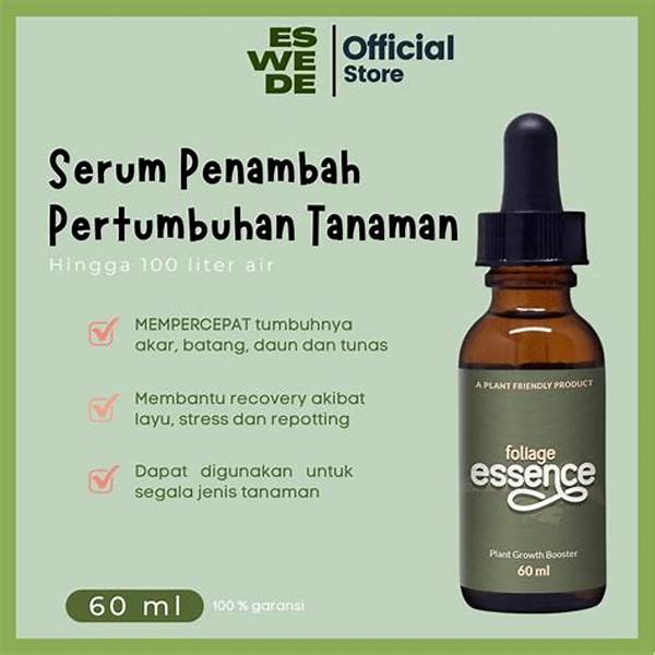 Essence Spesial Dari Selebriti