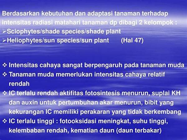 Adaptasi Tanaman Terhadap Cahaya Matahari