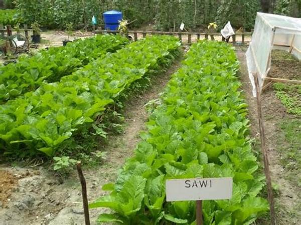 Selebriti Sukses Kelola Kebun Sayur