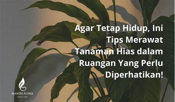 Tips Menjaga Tanaman Sehat Dari Selebriti